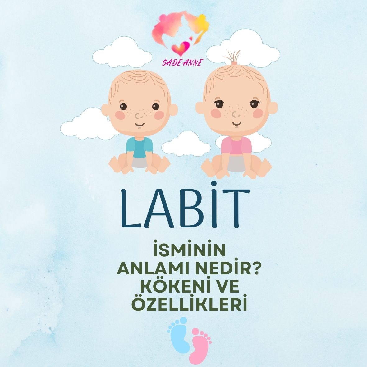 Labit Ne Demek? Anlamı, Kökeni ve Özellikleri